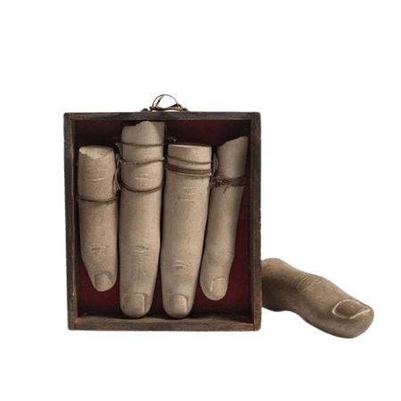 Five Fingers in a Box by Gonzalo Fonseca