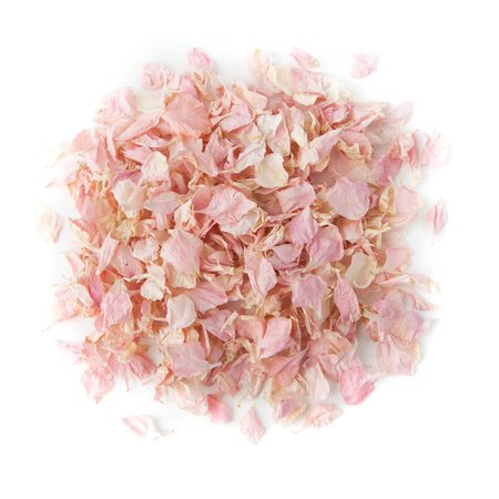 Pale Pink Delphinium Petals