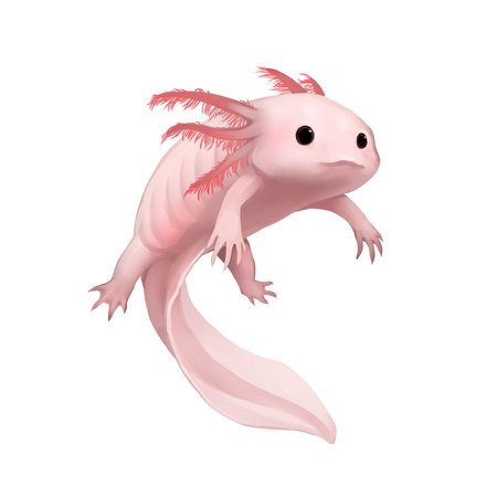 axolotl - DeviantArt | Ajolote dibujo, Dibujos de animales, Ilustraciones de animales