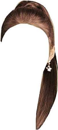 Brown hair ponytail
