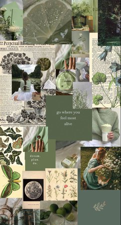 sage green aesthetic wallpaper