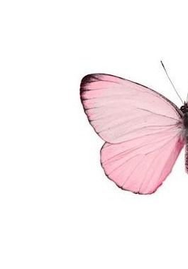 pink Half Butterfly