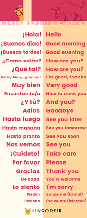 Spanish words and Phrases for Beginners