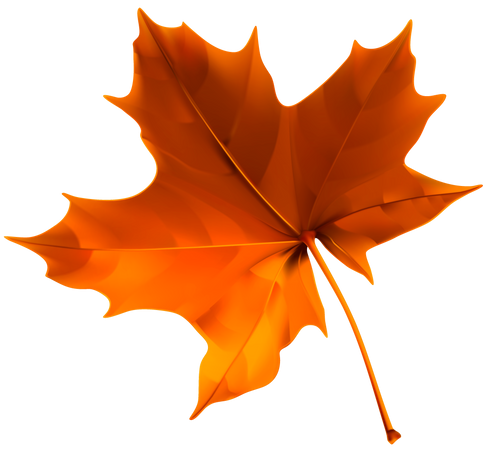 41517-autumn-color-leaf-red-free-clipart-hd.png (4064×3745)