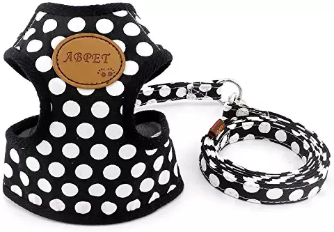 Amazon.ca: Harnesses - Collars, Harnesses & Leashes: Dogs