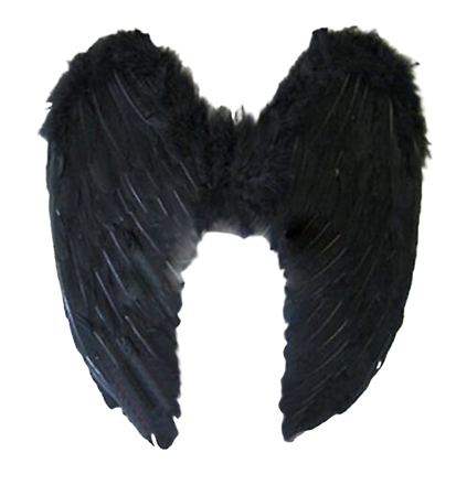Dark Angel Wings "Fruugo"