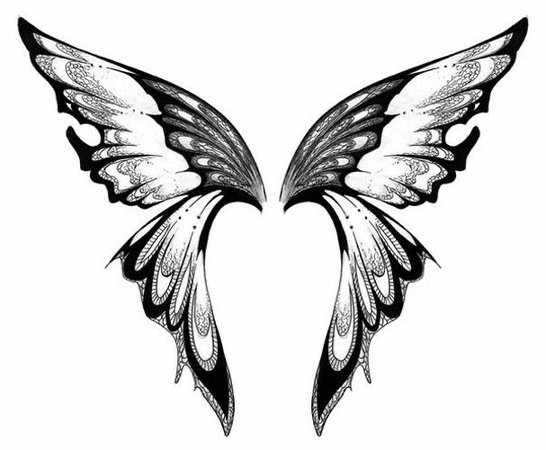 black and white fairy wings