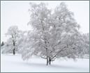Image Of Snow Scene