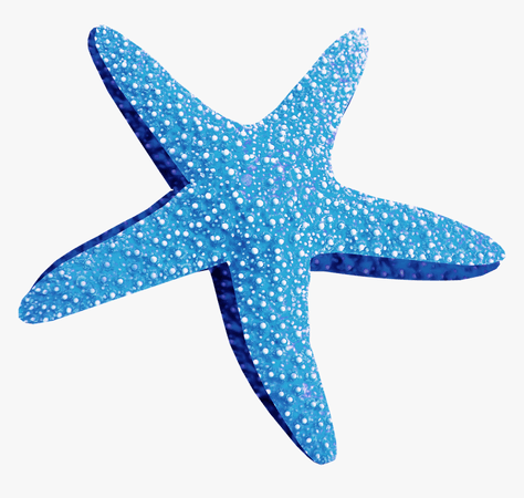 146-1468849_blue-starfish-png-blue-starfish-png-starfish-png.png (860×816)