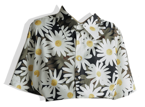 Vintage Flowers – noxexit