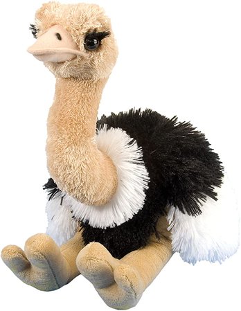 Amazon.com: Wild Republic Ostrich Plush, Stuffed Animal, Plush Toy, Gifts for Kids, Cuddlekins 12 Inches: Toys & Games