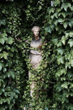 ivy marble statue
