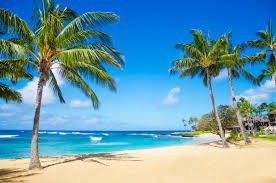hawaii beach - Google Search
