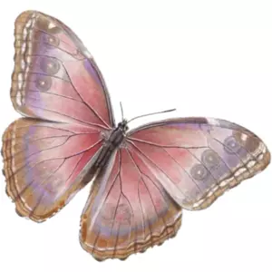 pink purple butterfly