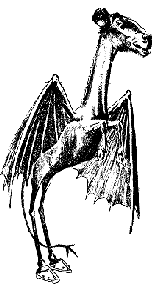 jersey devil cryptid - Google Search