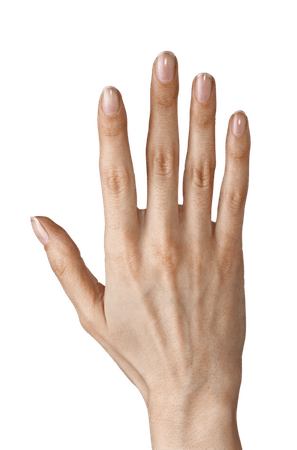 hand png - Google Search