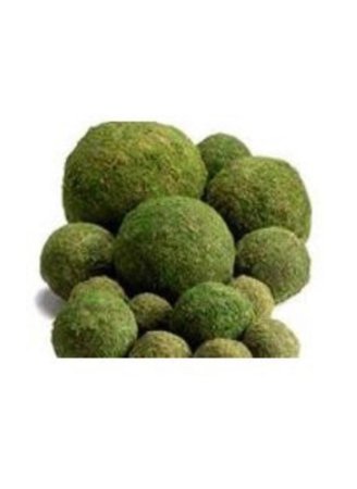 moss balls