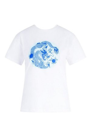 Dragon Print T-Shirt | boohoo