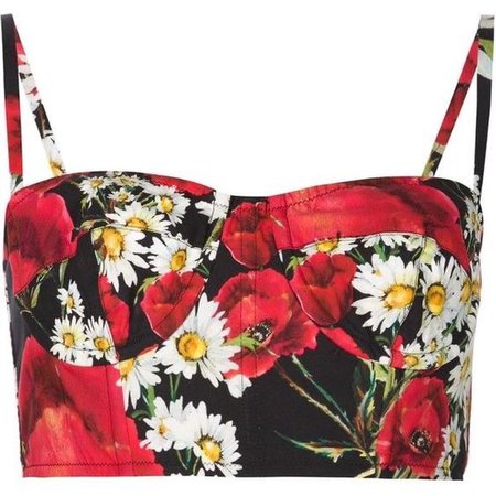 dolce and gabbana poppy top