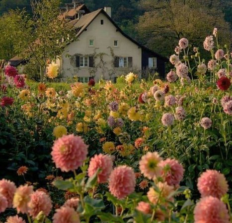 flower village