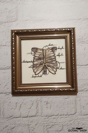 Anatomical Ribcage Embroidered Framed Gothic Picture