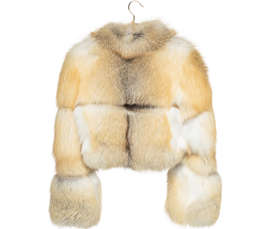 fur coat