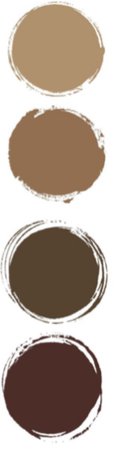 brown colour pallet