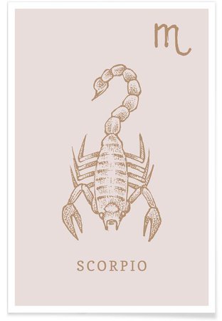 Scorpio Poster | JUNIQE