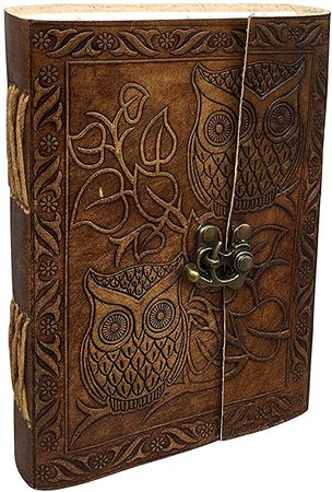 Amazon.com : Vintage Owl Embossed Blank Book Sketchbook Notebook Leather Journal/Instagram Photo Album (Handmade Paper) - Coptic Bound with Lock Closure by Aislinn Leather (Owl Emboss - Tan Color) : Office Products