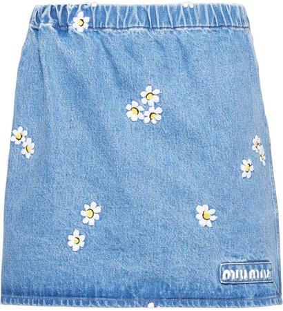 Daisy Embroidered Skirt