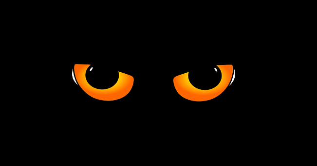 6,000+ Free Cats Eyes & Cat Images - Pixabay