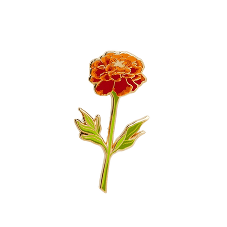 Cempasúchil flower
