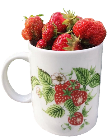 strawberry cup