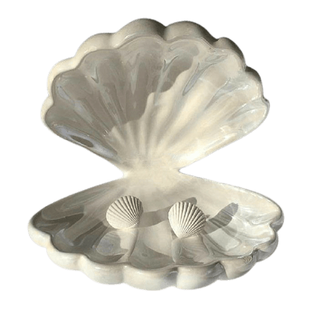 sea shell deco