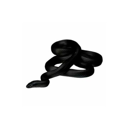 *clipped by @luci-her* Black Snake