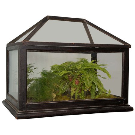 Victorian Mahogany and Glass Terrarium For Sale at 1stdibs