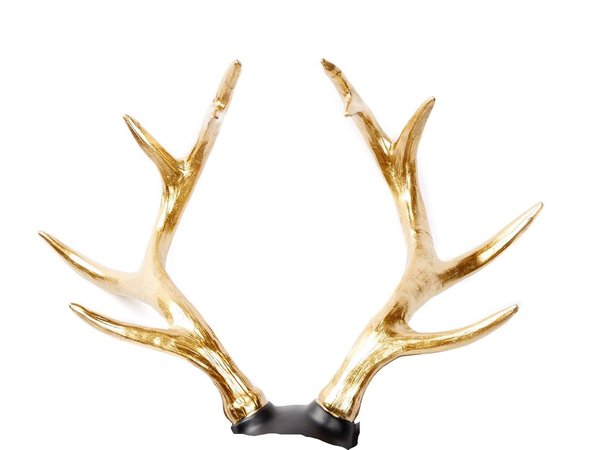 gold deer antlers
