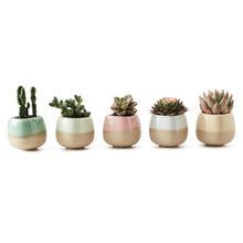 5 in Set 2.2 Inch Container Planter Ceramic Flowing Glaze Five Color Base Serial Set Succulent Plant Pot Cactus Flower Pot Gift – Indoor Earth
