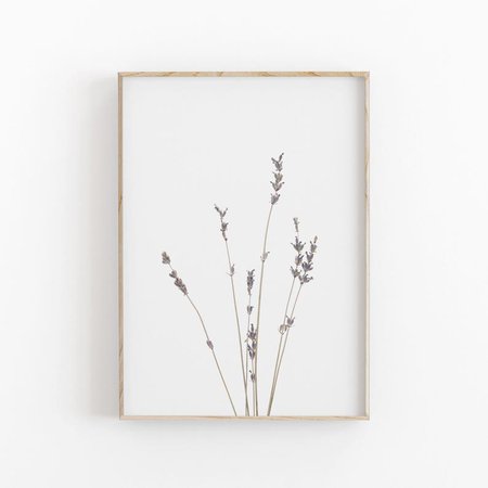 Lavender Print Farmhouse Art Modern Minimalist Poster | Etsy