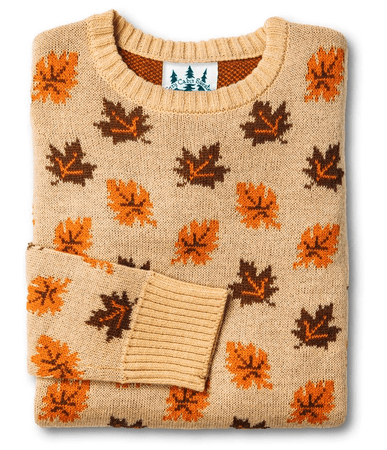 autumn jumper