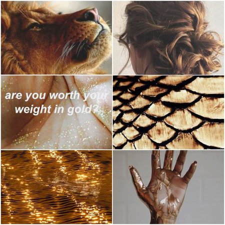 Leo Aesthetic- Made by @mentalityoffandoms on Tumblr! | Leo zodiac, Aesthetic collage, Leo