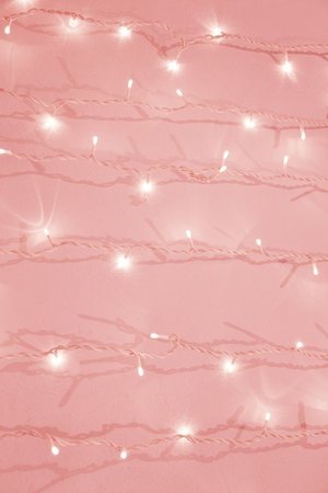 pink fairy lights