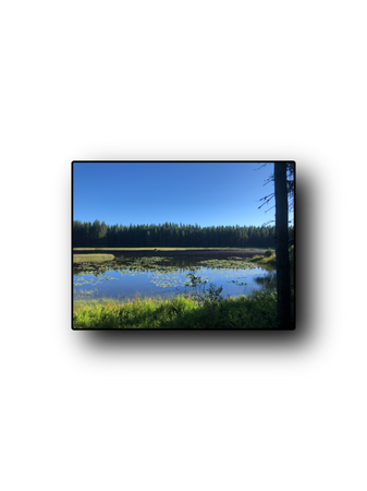 Frater Lake Washington outdoors recreate background