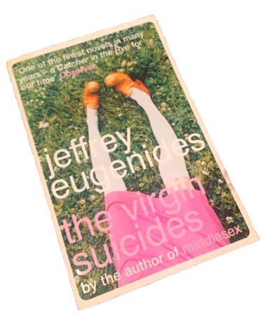 the virgin suicides book