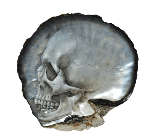 pearl skull