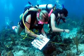 marine biologist - Google Search