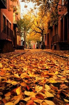 27 Autumn In The City ideas | beautiful places, city, scenery