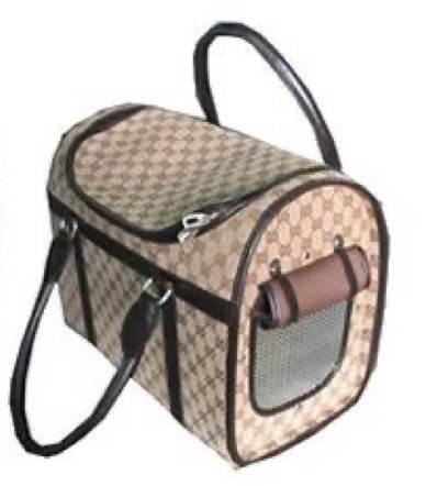 Gucci Dog Carrier