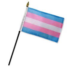 trans pride flag small - Google Search