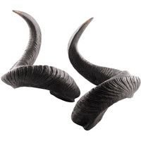 (303) Pinterest horns